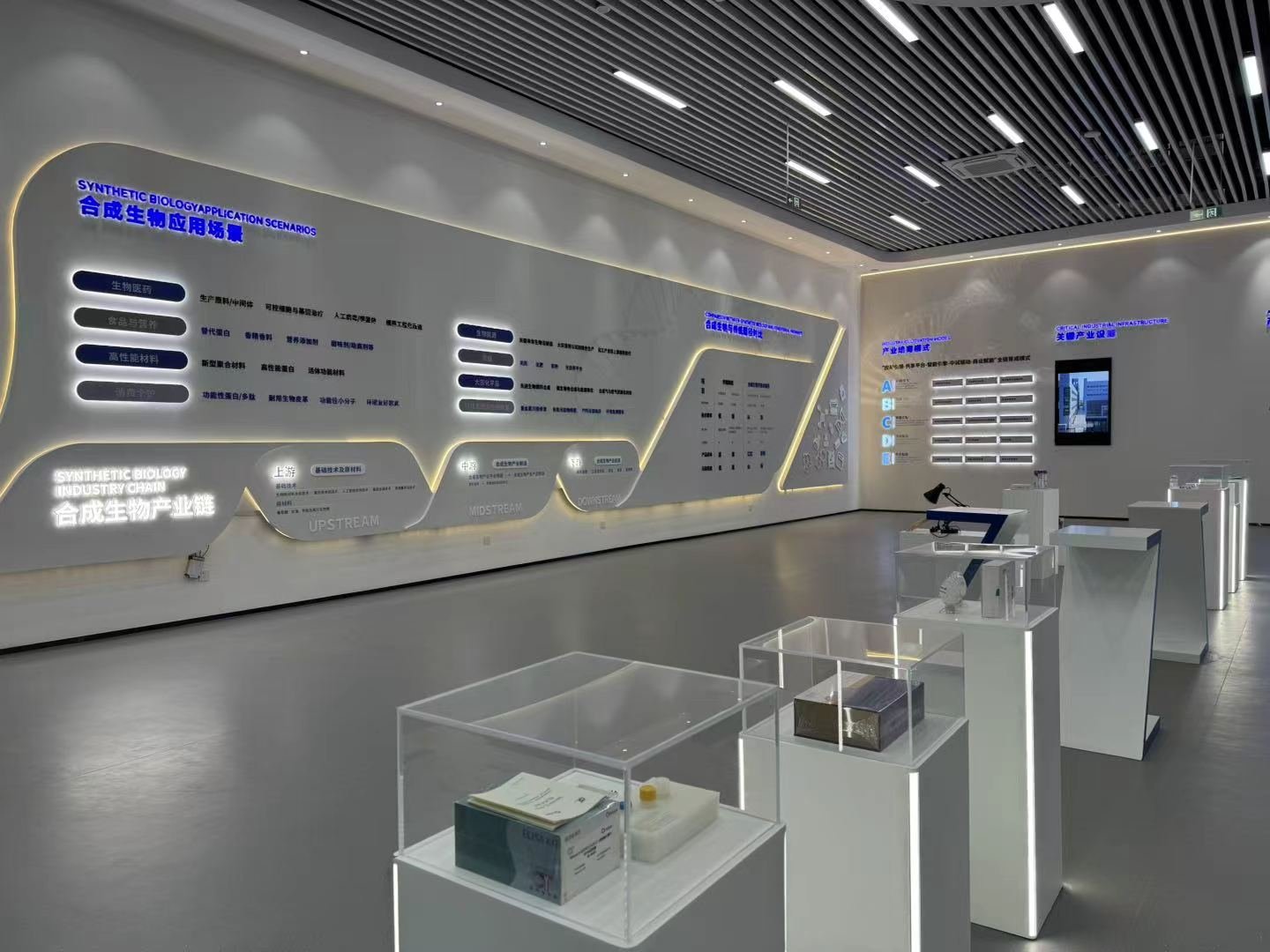 合成生物应用场景与产业链展示