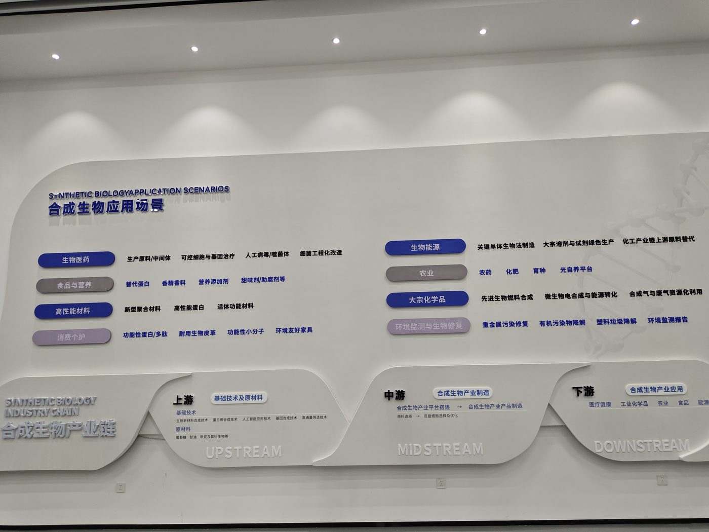 合成生物应用场景与产业链展示